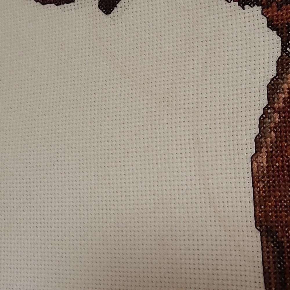 Vintage Flying Eagle Finished Cross Stitch Sampler - Picture 13 of 15